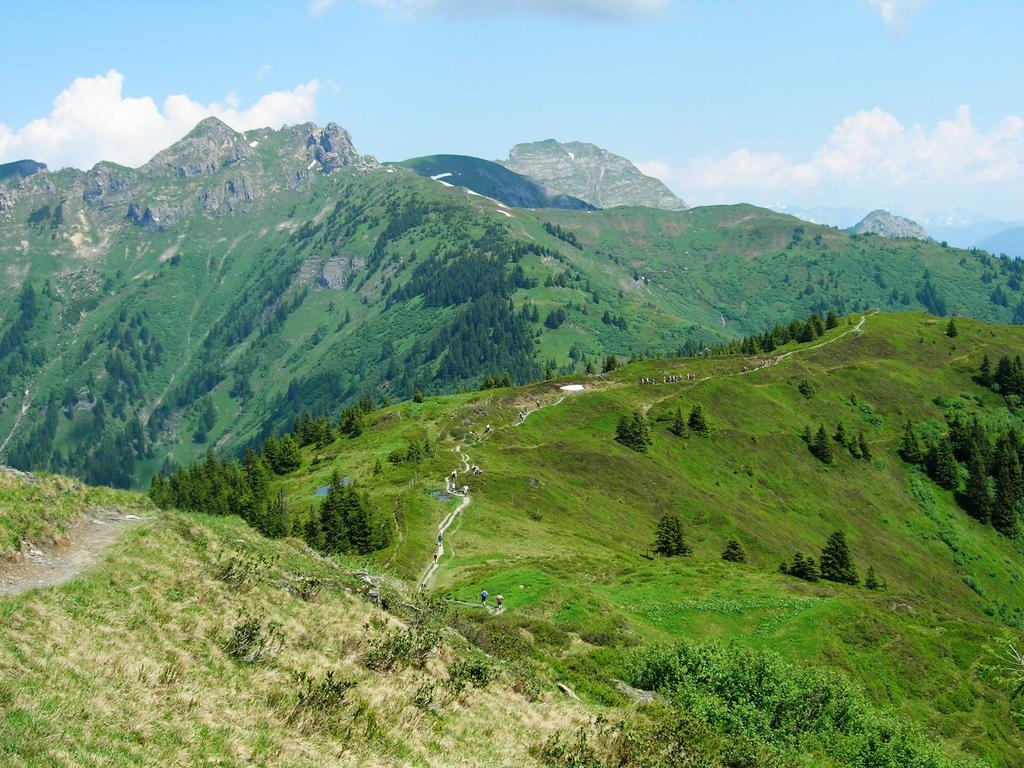 Landhotel Steindlwirt Dorfgastein Eksteriør billede